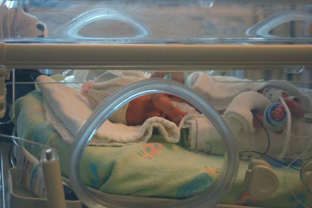 Are Premature Babies Smarter? Understanding Developmental Insights