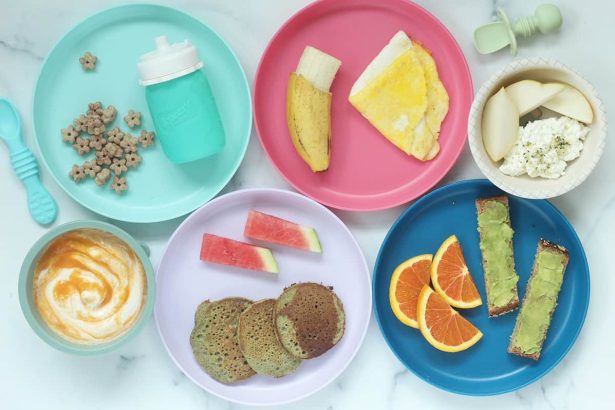 Breakfast Ideas for 11 Month Old Baby